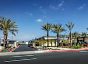 Thumbnail 1 of 37 - A street with palm trees on both sides and a building in the background.