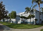 Thumbnail 2 of 2 - A white building with a palm tree in front.