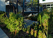 Thumbnail 97 of 116 - A modern staircase with metal railings is surrounded by green plants.