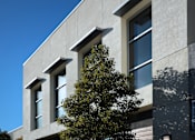Thumbnail 79 of 116 - A tree is in front of a building with three windows.
