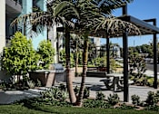 Thumbnail 43 of 116 - A palm tree stands in a landscaped yard.