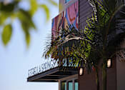 Thumbnail 46 of 116 - A palm tree is in front of a building with the name Estrella Springs on it.