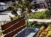 Thumbnail 49 of 116 - A bench with a wooden slat back and a black slat seat is situated in a garden.