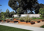 Thumbnail 51 of 116 - A garden with raised beds and a white wall in the background.
