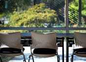Thumbnail 29 of 116 - Four chairs are lined up in front of a window.