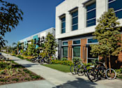 Thumbnail 5 of 116 - A row of bicycles are parked in front of a building.