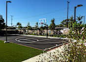 Thumbnail 1 of 116 - A basketball court with a net and hoop in the middle of it.