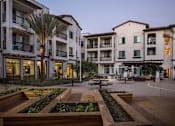 Thumbnail 105 of 114 - A courtyard with a fountain and palm trees in front of apartment buildings.