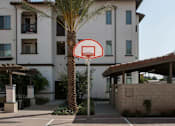 Thumbnail 70 of 114 - A basketball court with a hoop in the middle of it.