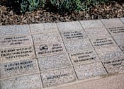Thumbnail 50 of 114 - A memorial plaque with names and details of military personnel.