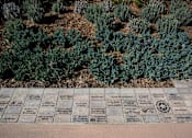 Thumbnail 35 of 114 - A plaque with names and symbols is surrounded by green shrubbery.