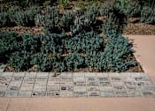 Thumbnail 36 of 114 - A memorial with names engraved on stones surrounded by greenery.