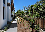 Thumbnail 1 of 103 - A row of white buildings with a sidewalk and a tree in the foreground.