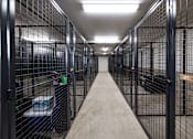Thumbnail 79 of 103 - A long hallway with cages on both sides.