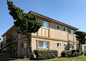 Thumbnail 8 of 9 - A tree in front of a tan building with a balcony.