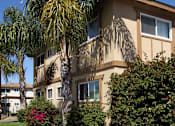 Thumbnail 1 of 9 - A house with a palm tree in front of it.