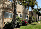 Thumbnail 4 of 9 - A row of houses with trees in front.