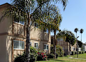 Thumbnail 6 of 9 - Apartment complex with palm trees in front.