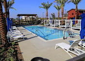 Thumbnail 16 of 25 - A pool surrounded by palm trees and lounge chairs.