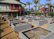 Thumbnail 2 of 25 - A row of raised garden beds are in the foreground of a sunny yard.