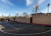 Thumbnail 4 of 61 - A basketball court with a red line on the ground.
