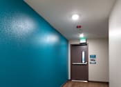 Thumbnail 87 of 127 - A hallway with a blue wall and a brown door.