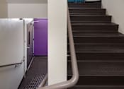 Thumbnail 86 of 127 - A staircase with a metal handrail and a purple wall in the background.