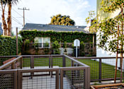 Thumbnail 68 of 127 - A house with a green hedge on the roof and a metal fence in front.