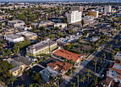 Thumbnail 48 of 127 - A cityscape with buildings and palm trees.