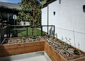 Thumbnail 15 of 127 - A small garden with a wooden fence and a tree.