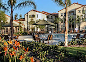 Thumbnail 79 of 117 - A beautiful sunny day at the resort with palm trees and orange flowers.