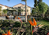 Thumbnail 57 of 117 - Bird of paradise flowers in front of apartment building.
