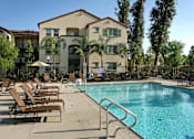 Thumbnail 56 of 117 - A swimming pool with sun loungers and a building in the background.