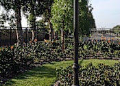 Thumbnail 55 of 117 - A black lamp post stands in a grassy area.
