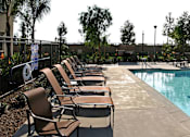 Thumbnail 70 of 117 - A large outdoor swimming pool surrounded by chairs and trees.