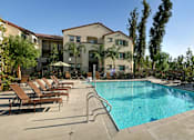 Thumbnail 66 of 117 - A swimming pool surrounded by sun loungers and trees.
