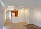 Thumbnail 107 of 117 - A white room with a brown rug on the floor.