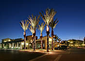 Thumbnail 1 of 45 - A row of palm trees line a street at night.
