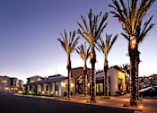 Thumbnail 4 of 45 - Palm trees line the street in front of a building.
