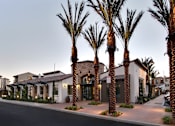 Thumbnail 5 of 45 - Palm trees line a street in front of a row of houses.