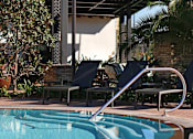 Thumbnail 41 of 45 - A pool with a slide and a tree in the background.