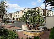 Thumbnail 35 of 126 - A large building with a palm tree in front of it.