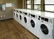 Thumbnail 121 of 126 - A row of white front load washing machines in a laundromat.