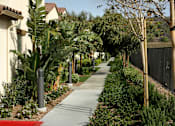 Thumbnail 83 of 126 - A sidewalk with a red stripe in the middle runs between a row of houses and a fence.