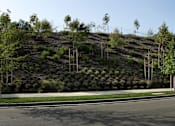 Thumbnail 101 of 126 - A long road with a hill of trees on the side.