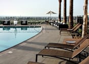 Thumbnail 95 of 126 - A pool surrounded by palm trees and lounge chairs.