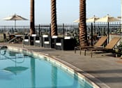 Thumbnail 93 of 126 - A pool with a black fence and palm trees.