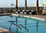 Thumbnail 91 of 126 - A pool surrounded by palm trees and deck chairs.