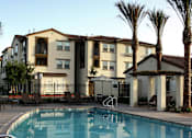 Thumbnail 72 of 126 - A swimming pool in front of a building with palm trees.