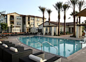 Thumbnail 50 of 126 - A swimming pool surrounded by palm trees and lounge chairs.